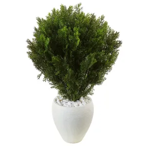 3’ Cedar in Oval Textured Planter (Indoor/Outdoor)