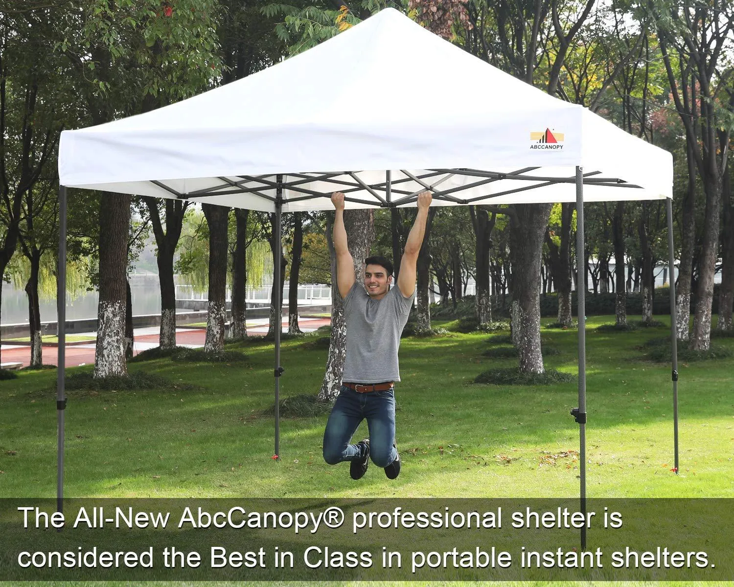 ABCCANOPY Tents Canopy Tent 10 x 10 Pop Up Canopies Commercial Tents Market stall with 6 Removable Sidewalls and Roller Bag Bonus 4 Weight Bags and 10ft Screen Netting and Half Wall,Forest Green