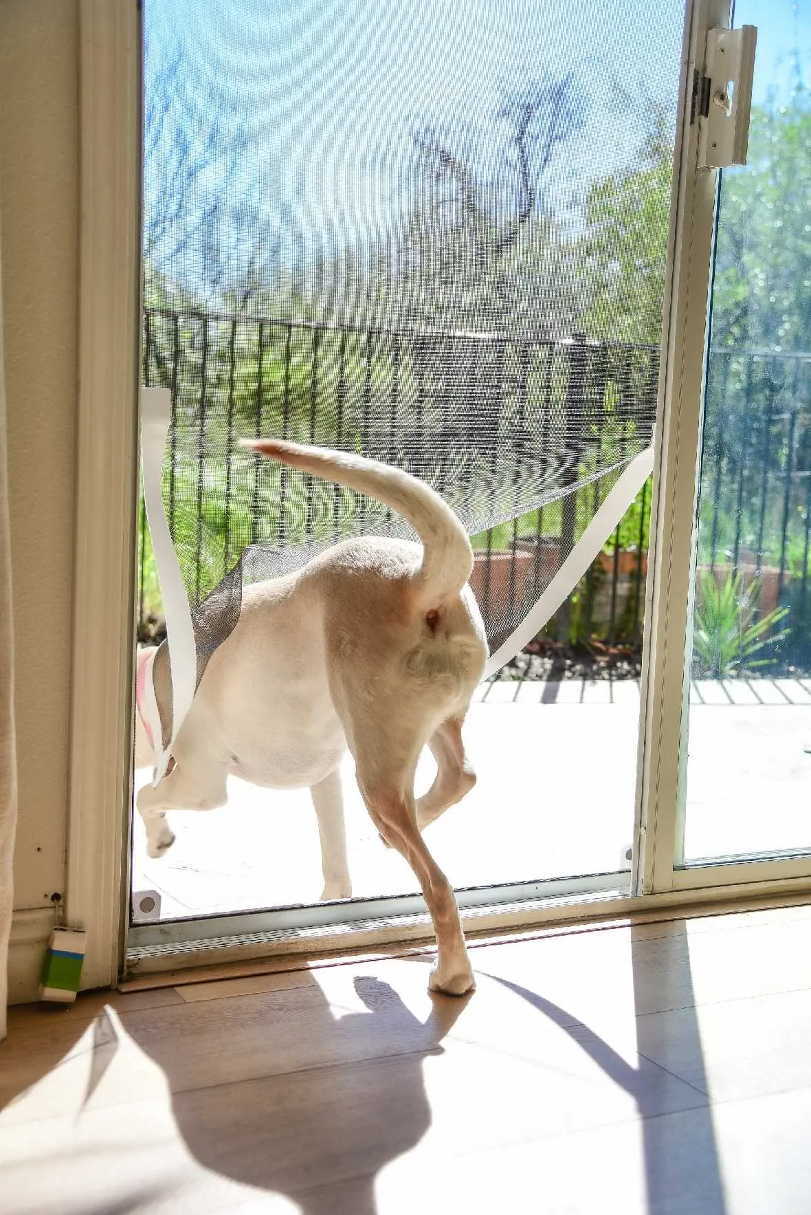 Screen Pet Door Conversion and Replacement Kit