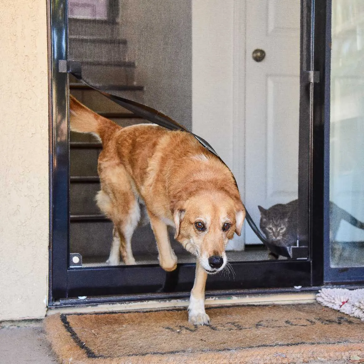 Screen Pet Door Conversion and Replacement Kit