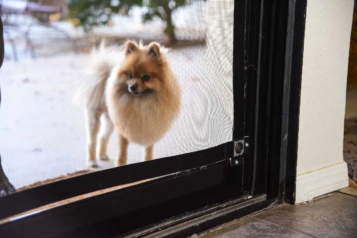 Screen Pet Door Conversion and Replacement Kit