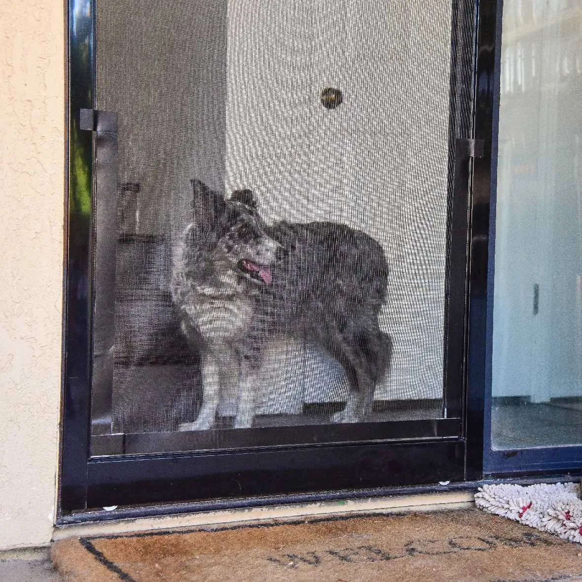 Screen Pet Door Conversion and Replacement Kit