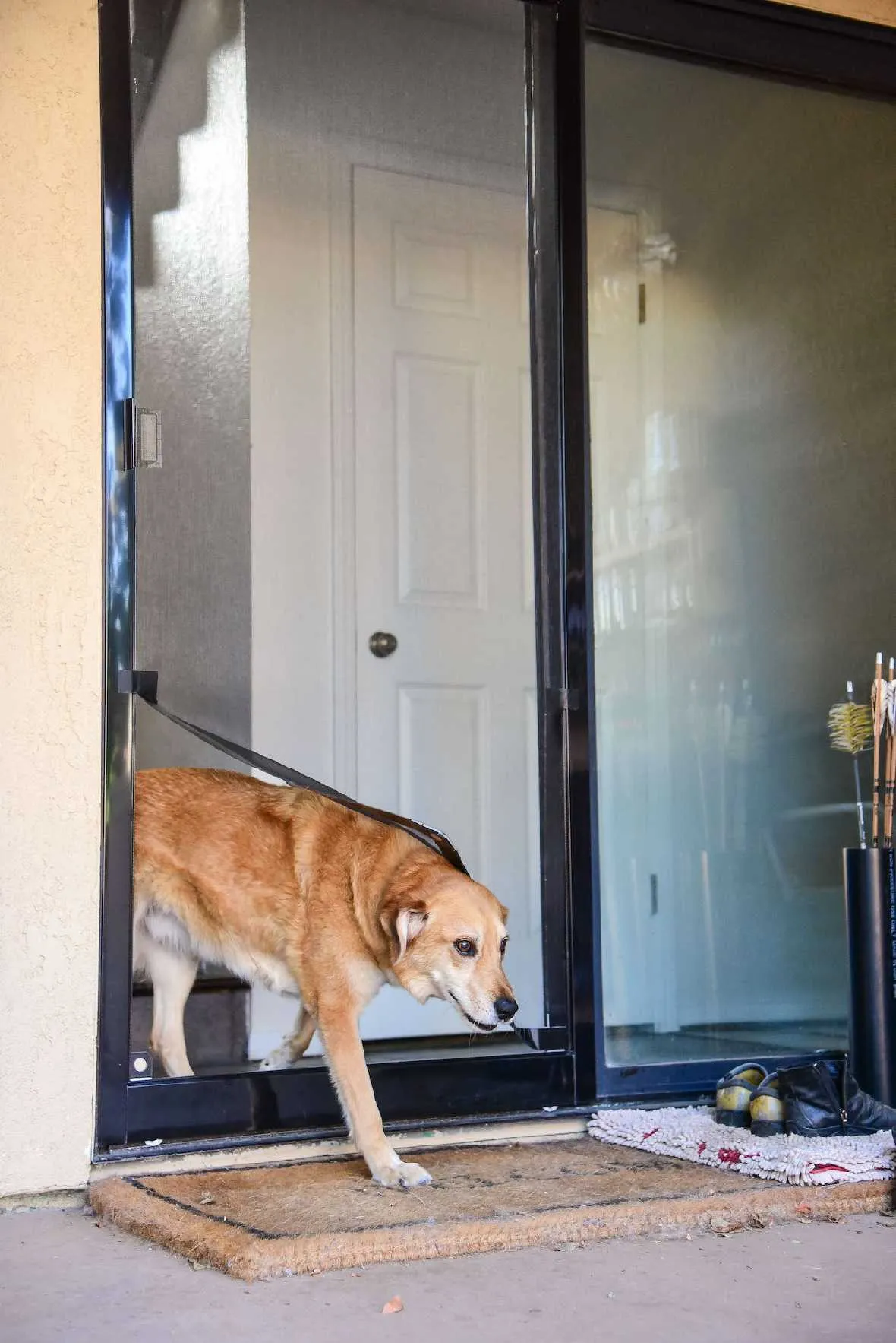 Screen Pet Door Conversion and Replacement Kit