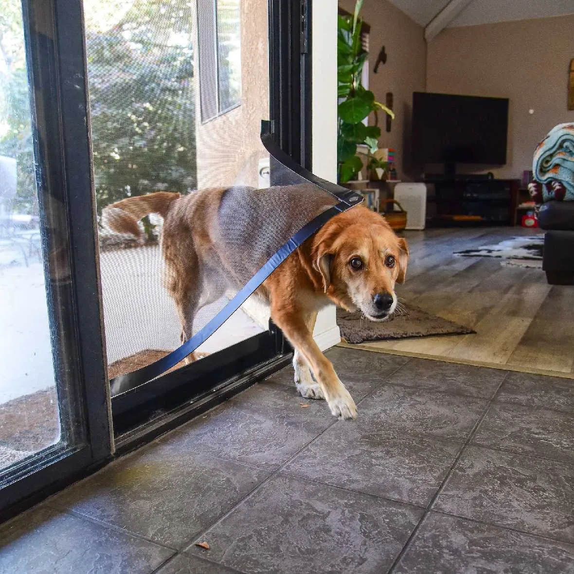 Screen Pet Door Conversion and Replacement Kit