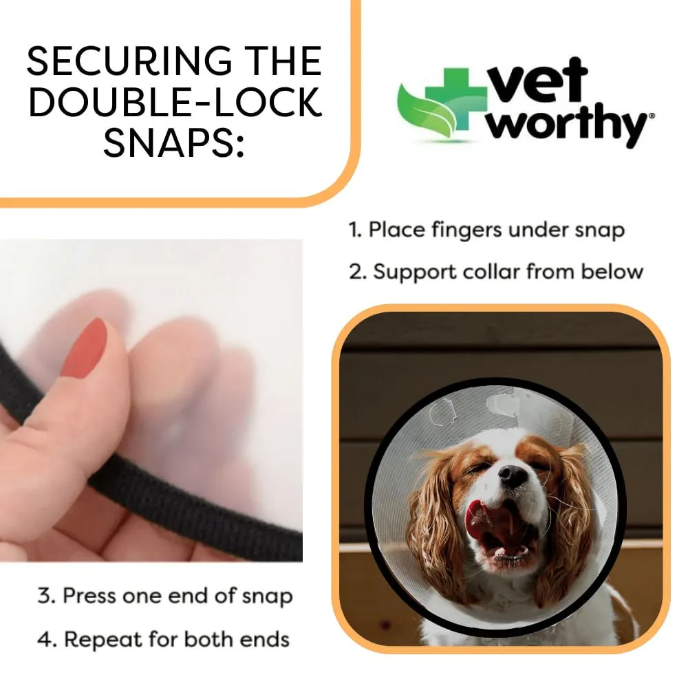 Vet Worthy Protective Cone Collar