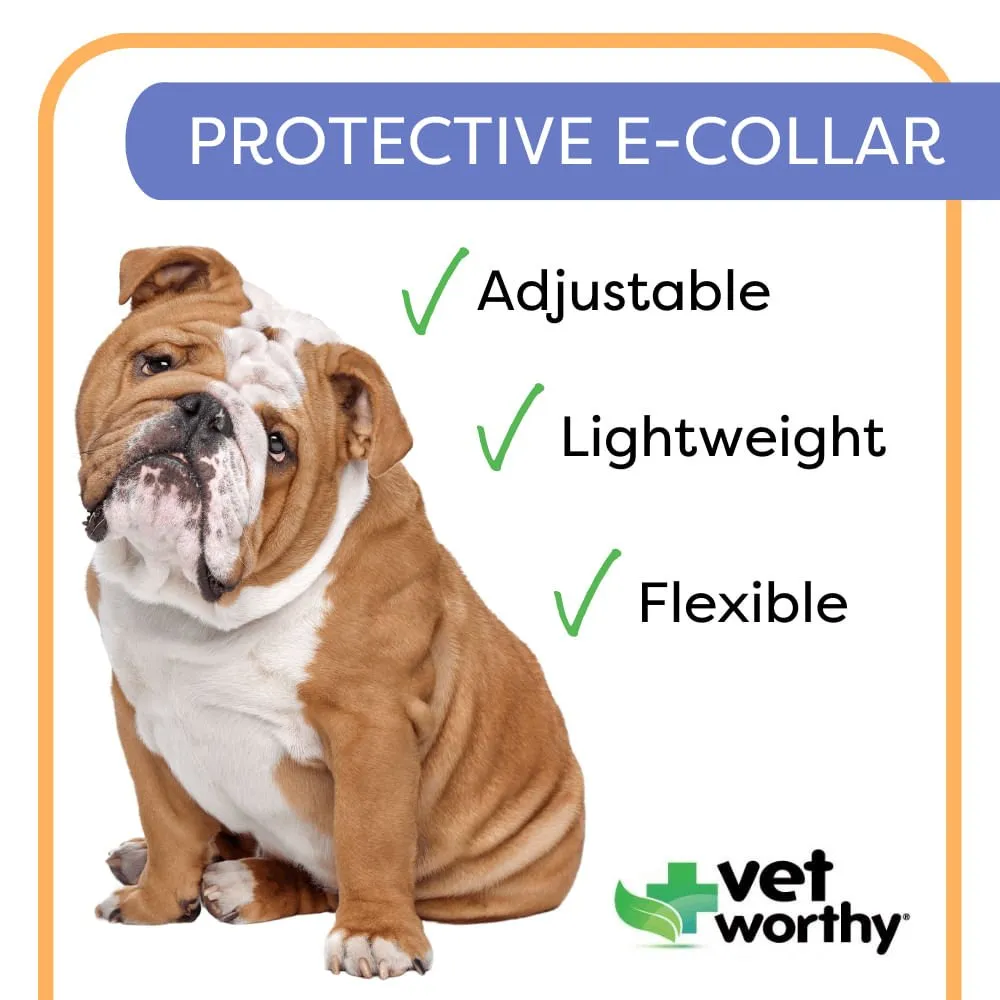 Vet Worthy Protective Cone Collar