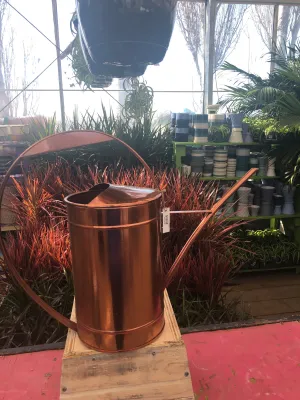 Watering Can Bronze